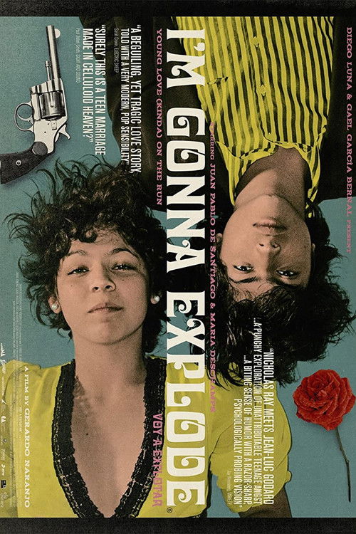 I'm Gonna Explode (2008) poster