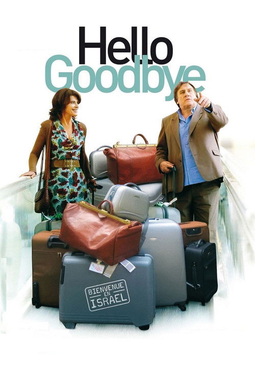 Hello Goodbye (2008) poster