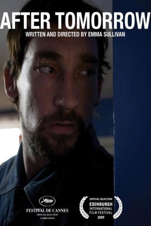 After Tomorrow (2012) poster