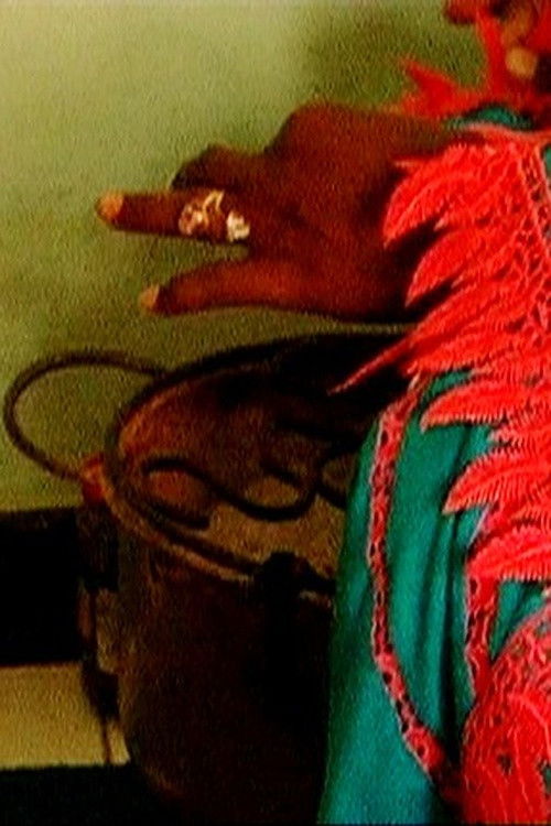 Les Sénégalaises et la Sénégauloise (2007) poster