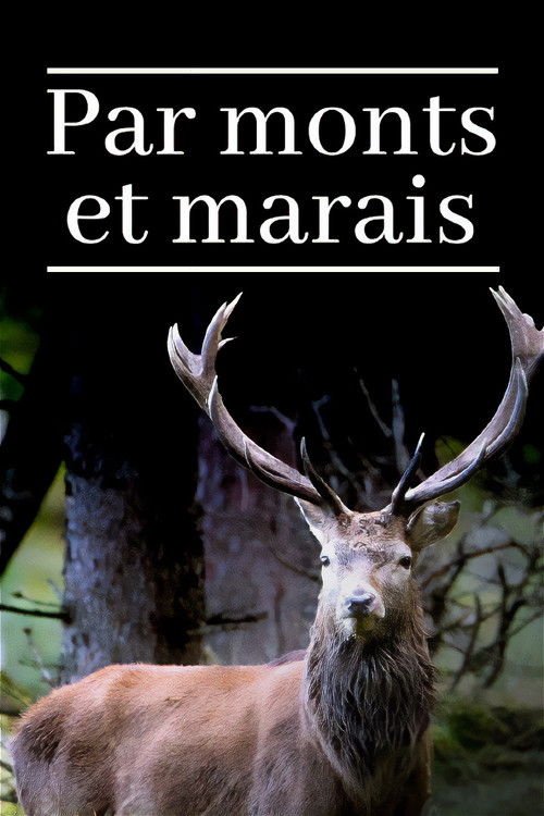 Sanfte Berge - Wilde Moore (2022) poster