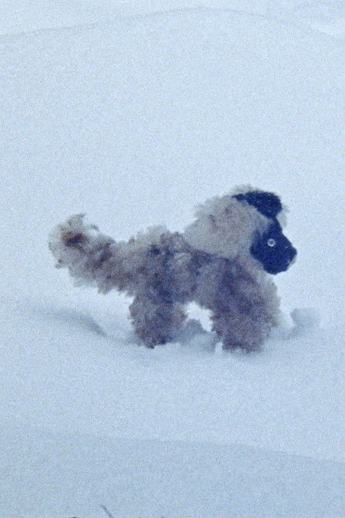 February Answers (2025) poster