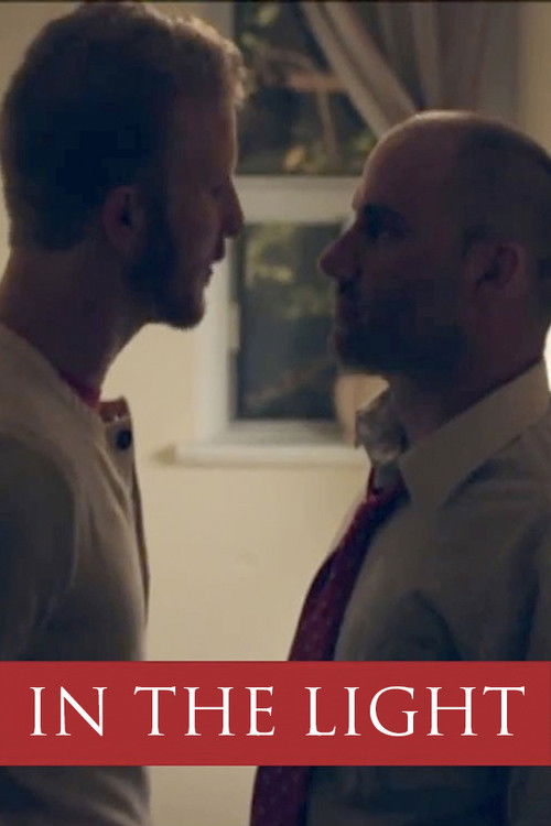 In the Light (2011) poster