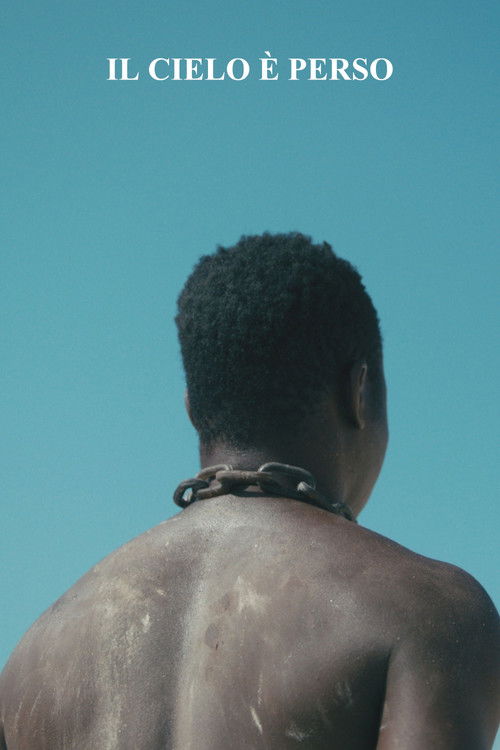 Il Cielo è Perso (2024) poster