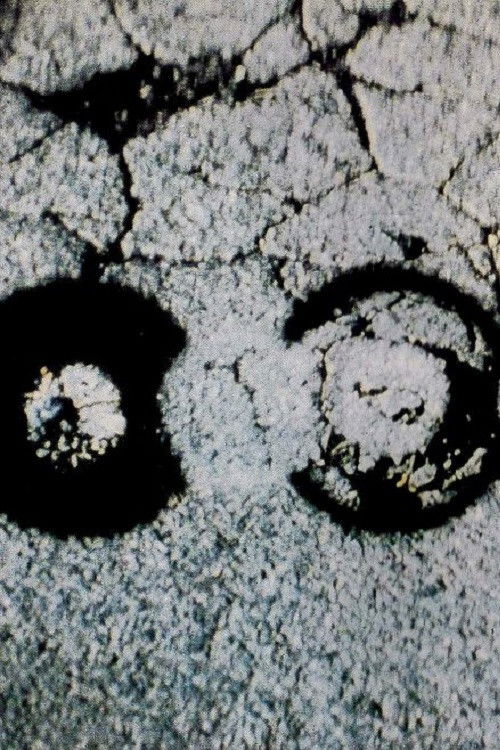 Traces (1982) poster