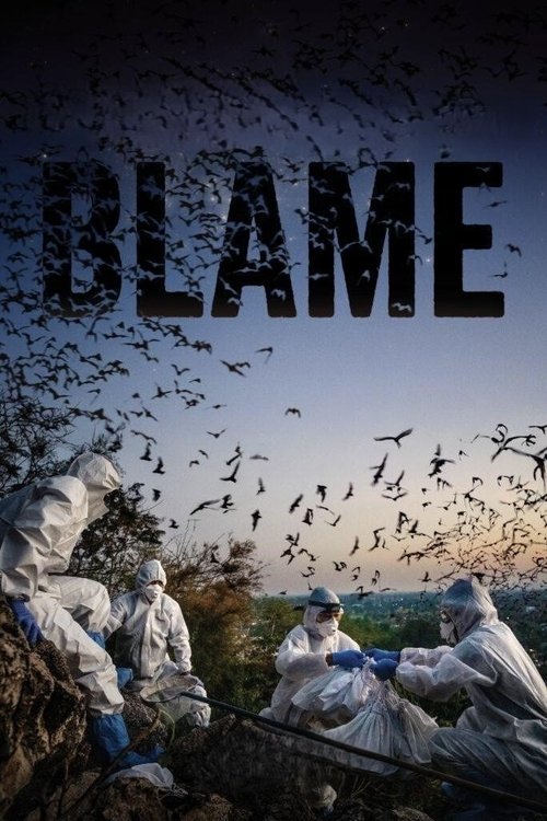 Blame (2026) poster
