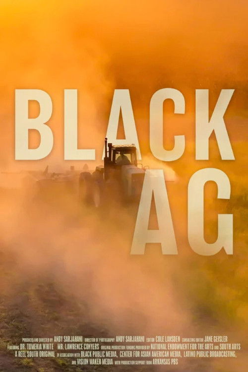 Black Ag (2024) poster