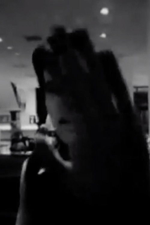 There Is a Criminal Touch to Art (1976) poster