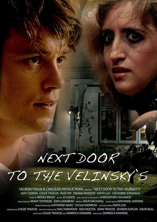 Next Door to the Velinsky's (2011) poster