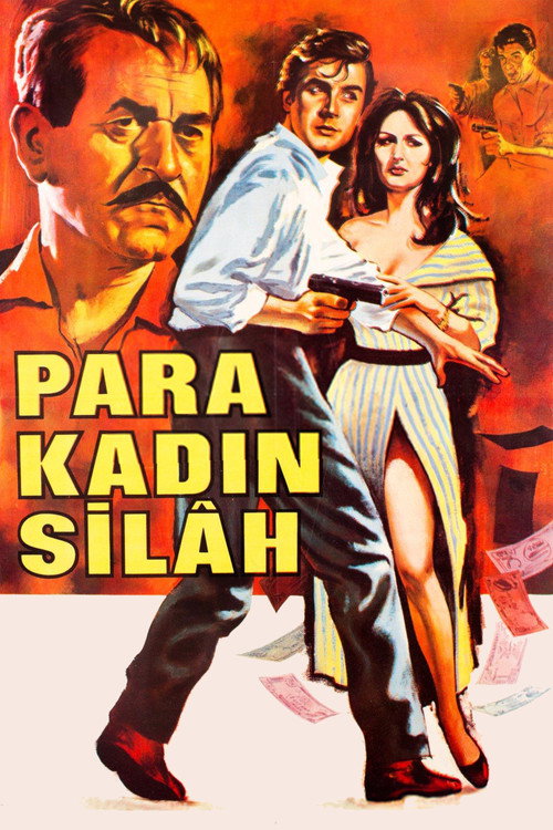 Para Kadın Silah (1966) poster