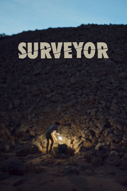 Surveyor poster