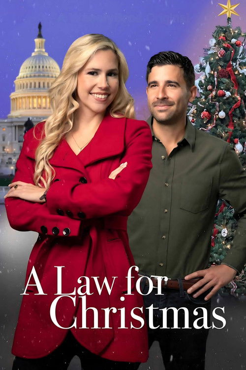 A Law for Christmas (2023) poster