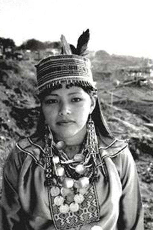 The Story of Panshin Beka (2006) poster