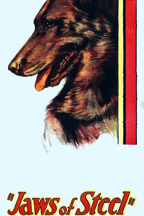 Jaws of Steel (1927) poster