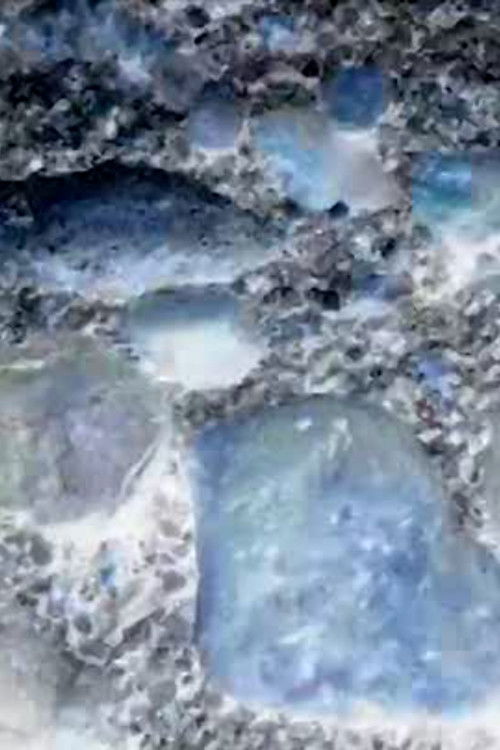 Ecosystem 21 ~ Canis Majoris (2015) poster