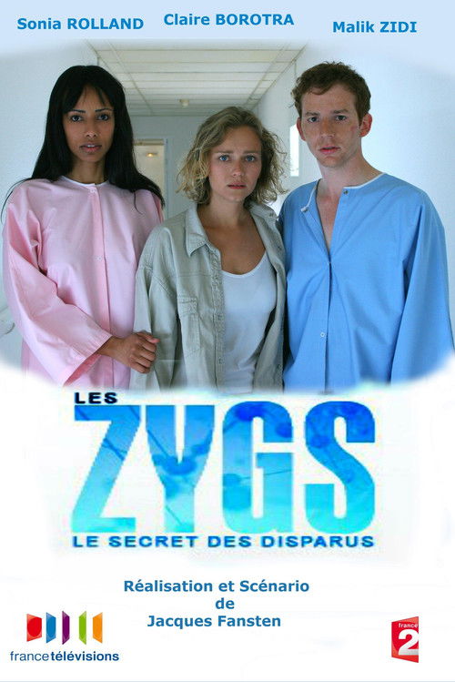 Les Zygs, le Secret des Disparus (2007) poster