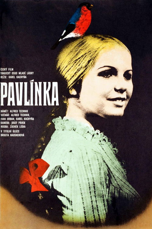 Pavlínka (1974) poster