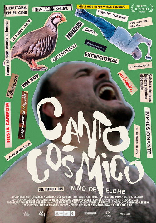 Cosmic Chant. Niño de Elche (2022) poster