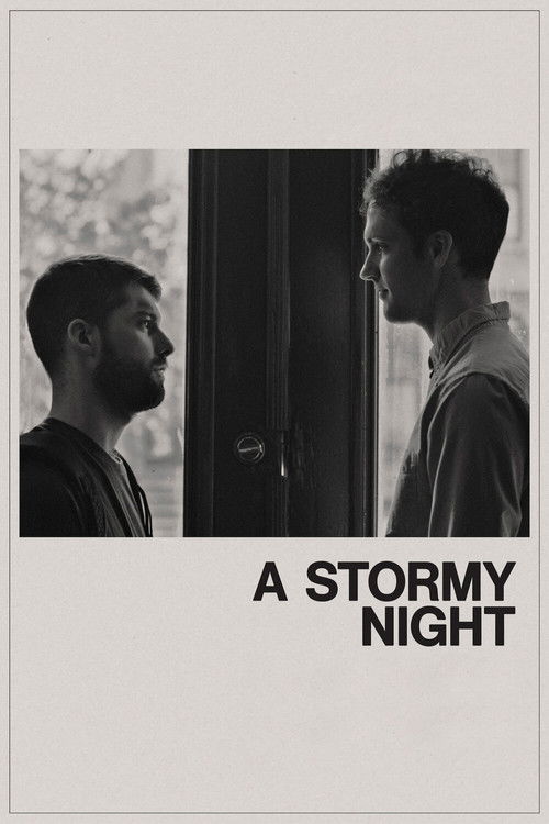 A Stormy Night (2020) poster