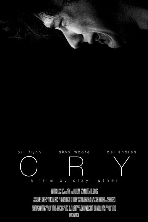 Cry (2013) poster