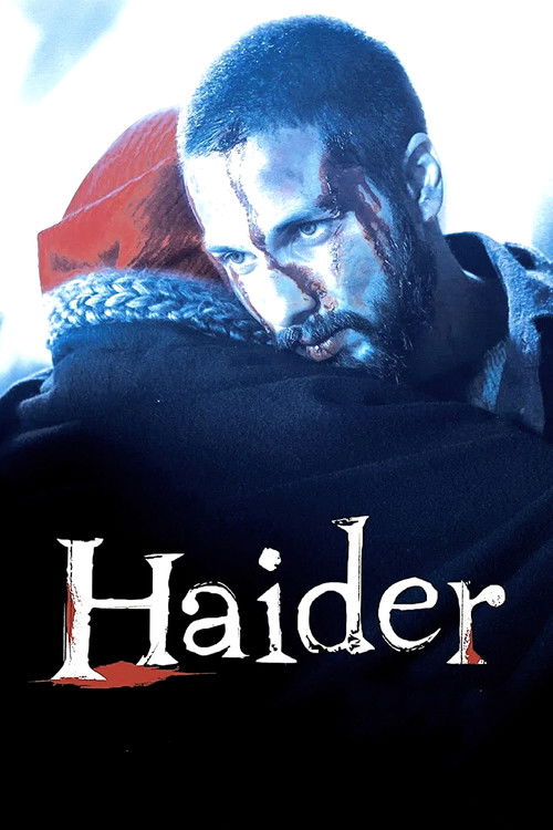 Haider (2014) poster