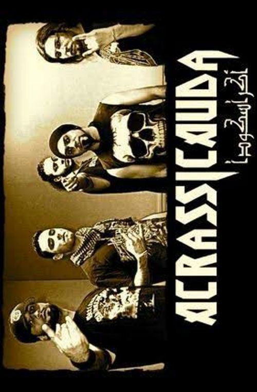 Heavy Metal in Istanbul (2008) poster
