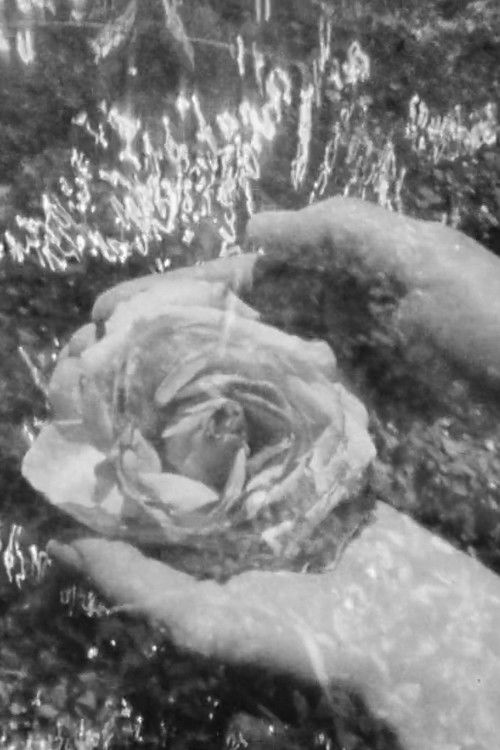 Moccasin Flowers (2017) poster