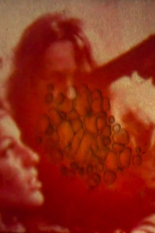 The Pistol (2010) poster