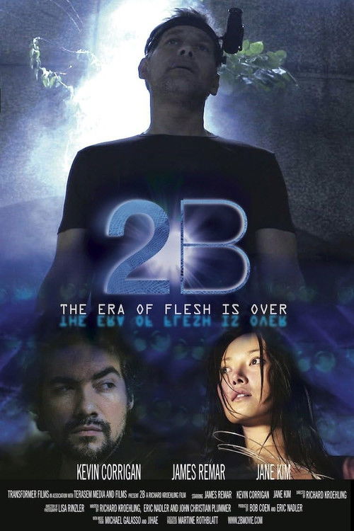2B (2009) poster