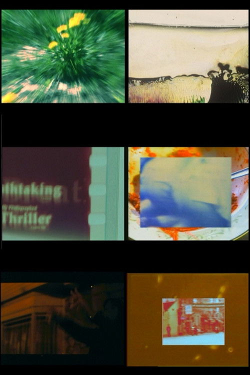 XY Chromosome Project (2007) poster