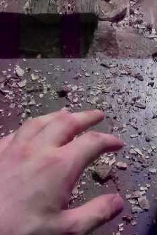 -Pursuit3.: Quando "lui" arriverà mi romperà il culo (2012) poster