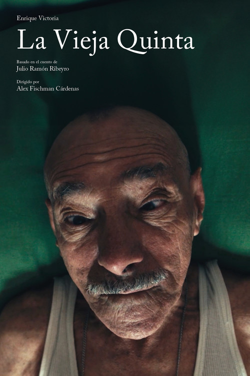 New Neighbors, Old Fights (2015) poster