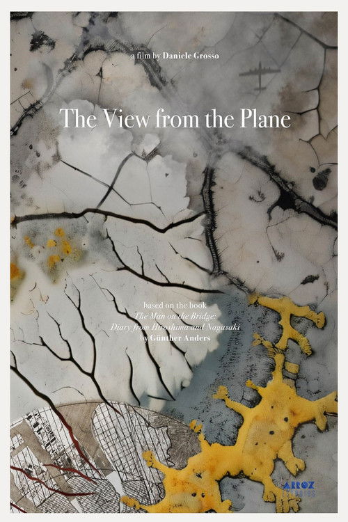 The View from the Plane (2024) poster