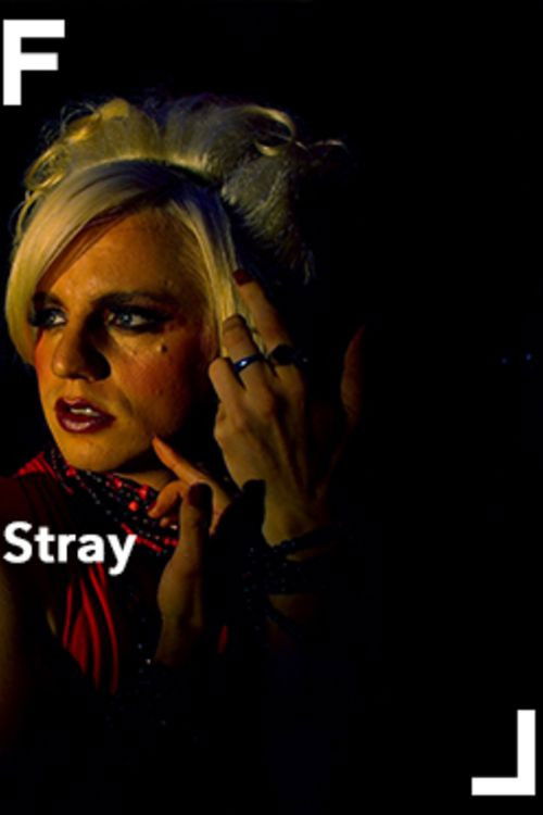 Stray (2007) poster