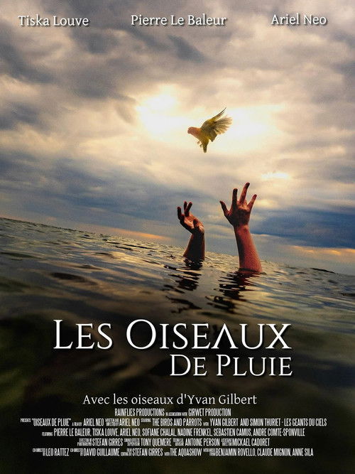 Les Oiseaux de pluie (2025) poster