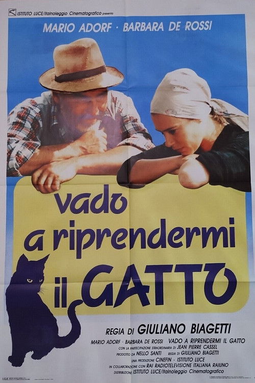 Vado a riprendermi il gatto (1989) poster