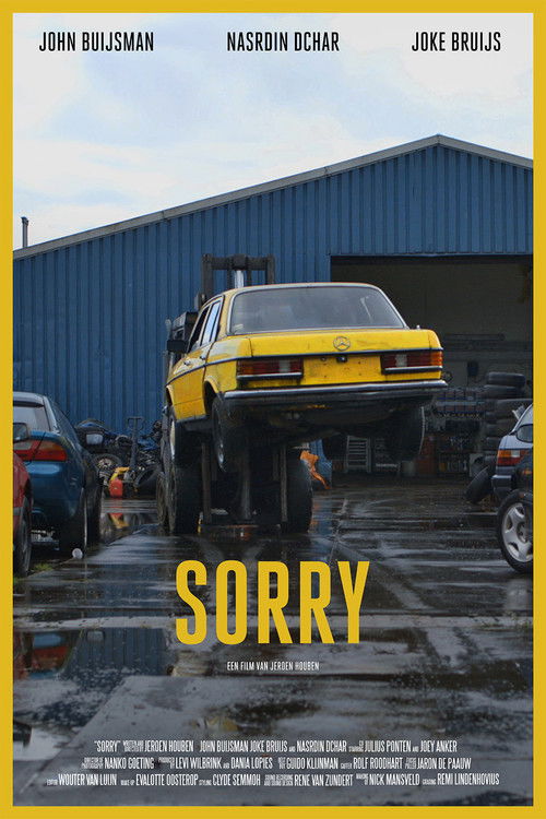 Sorry (2012) poster