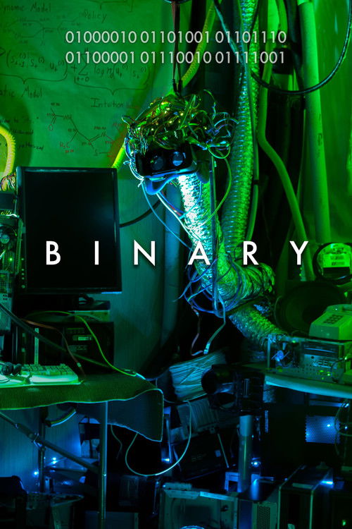 Binary (2019) poster