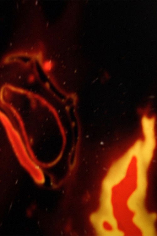 Exploration (2007) poster