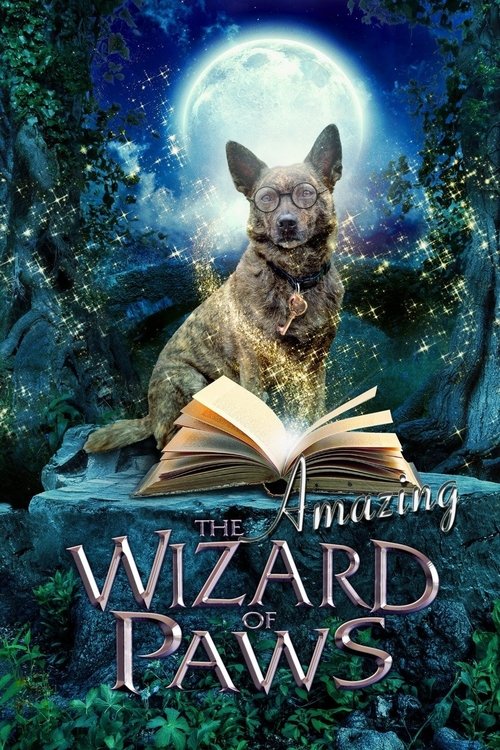 The Amazing Wizard of Paws (2015) poster