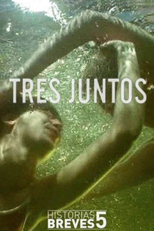 Tres juntos (2009) poster