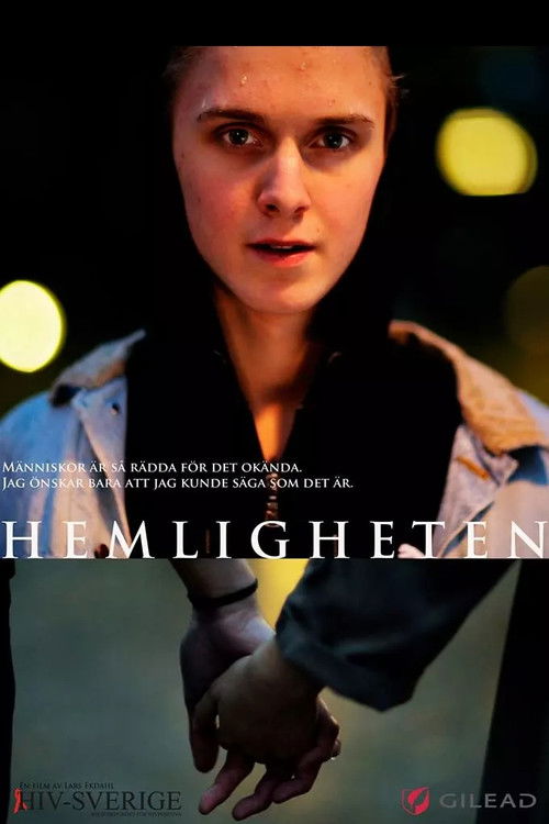 Hemligheten (2013) poster