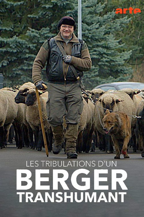 Les tribulations d'un berger transhumant (2021) poster