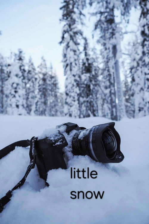 little snow (2026) poster