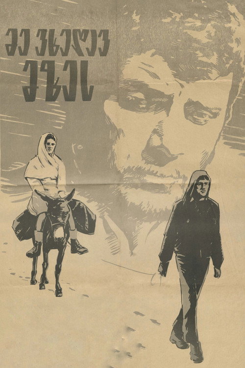 მე ვხედავ მზეს (1965) poster