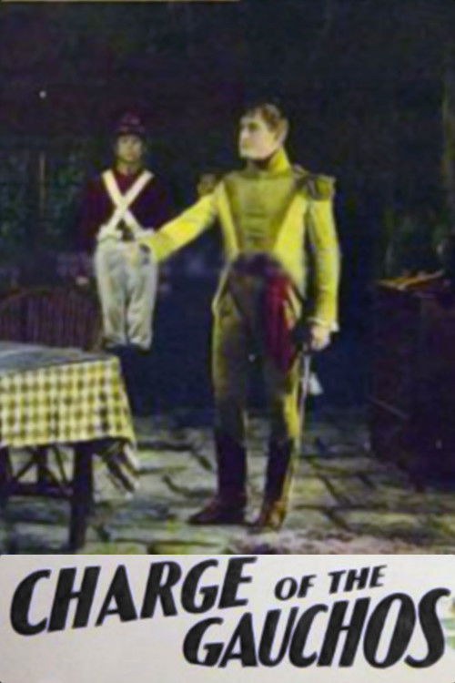 The Beautiful Spy (1928) poster