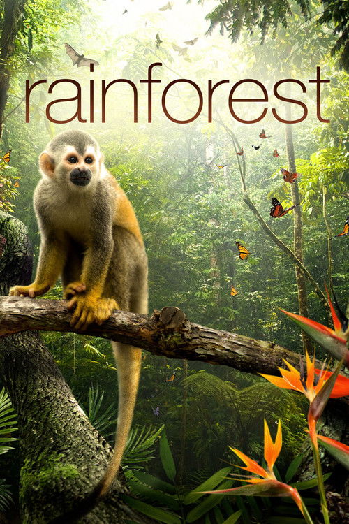 Secret Life of the Rainforest (2012) poster