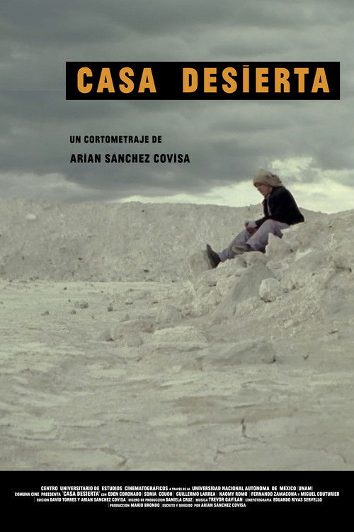 Casa desierta poster