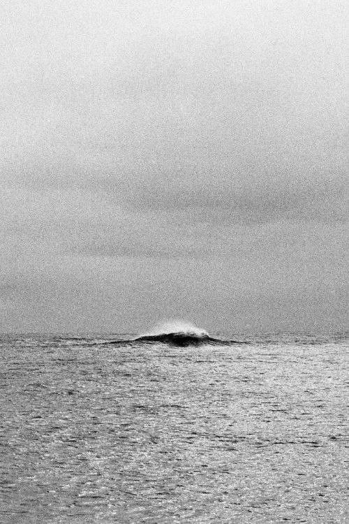 Geometría de ecos (2013) poster