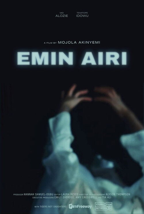 Emin Airi (2024) poster